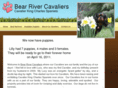 bearrivercavaliers.com