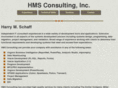 hms-consulting.com