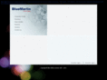 bluemarlinsys.com