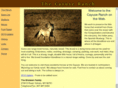 cayuseranch.com