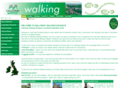 gallowaywalking.co.uk