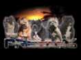 prbullyboard.com