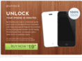 punlock.com
