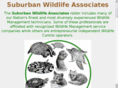 suburbanwildlife.com