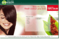 100color.com