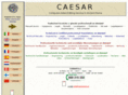 caesarweb.eu