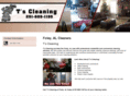 tscleaning.net