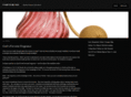 gwenplauche.com