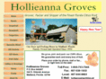 hollieanna.com