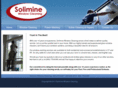 soliminewindowcleaning.com