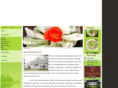 viettelnetwork.com