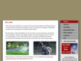 austindrilling.com