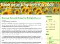 bioenergyengineering2009.com