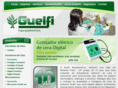guelfiworks.com.br
