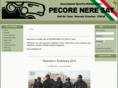 pecoreneresat.com