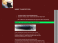 budgettranspo.com
