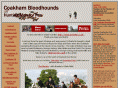 coakhambloodhounds.com