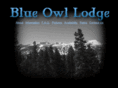 blueowllodge.com