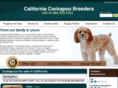californiacockapoobreeders.com