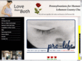 lebanoncountyprolife.org