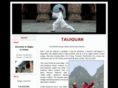 taiji.ro