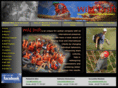 wilddrift.com