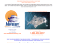 alaskahalibutfishing.com