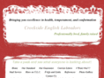 creeksidelab.com