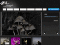 mellisphoto.com