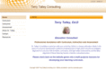 terrytalleyconsulting.com