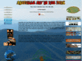ashevilleartinthepark.com