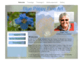 bluepoppyfineart.com