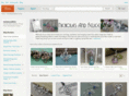 nicholasandfelice.com