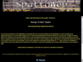 spattaweb.com