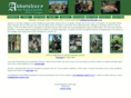 abbotsburyplantsales.co.uk