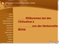 chihuahua-vom-stockemer-see.com