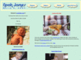 noaholson.com