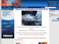store-speyflies.net