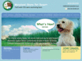 beachpetresort.com
