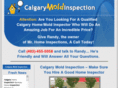 calgarymoldinspection.org