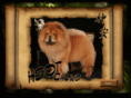 hsotchowchows.com