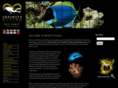 infinitydiving.com