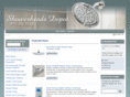 showerheadsdepot.com