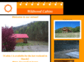 wildwoodcabinswv.com