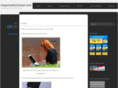 wiredrabbit.com