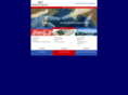 beringgroup.com