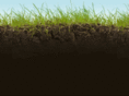 ctdirtwork.com