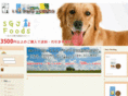 sgj-foods.com