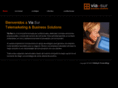 viasur-usa.com