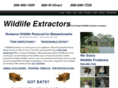 wildlifeextractors.com